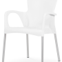 Pack 20 Cadeiras LARA BRANCO