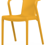 Pack 40 Cadeiras LISBOA Amarelo Mel