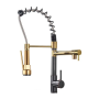 Torneira de Chuveiro Preta e Dourada com misturador de água quente e fria e guindaste com bico duplo